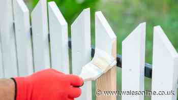 'Genuis' 46p item paints fences in 'minutes' without using brushes or sprayers