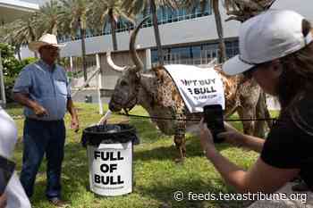 Abbott trolls Talarico with tacos and cattle at Texas Democratic Convention, ignoring opponent Hinojosa