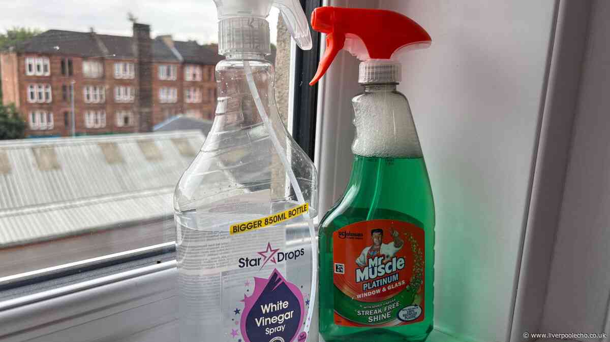 I cleaned my windows with Mr Muscle and white vinegar — 1 worked instantly with no scrubbing