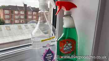 I cleaned my windows with Mr Muscle and white vinegar — 1 worked instantly with no scrubbing