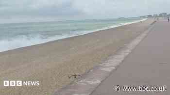 Sea warning lifted after sewer pipe burst