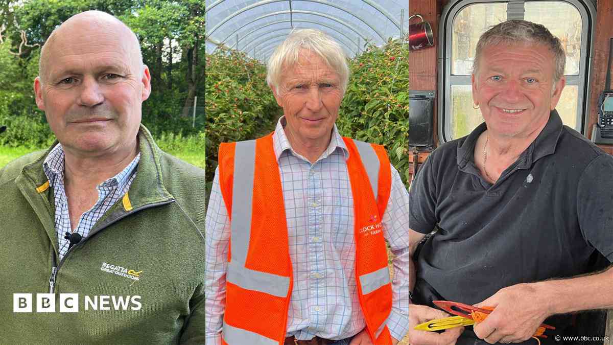 Would farmers and fishermen back Brexit today?