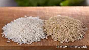 Difference between white and brown rice explained — and how health benefits vary
