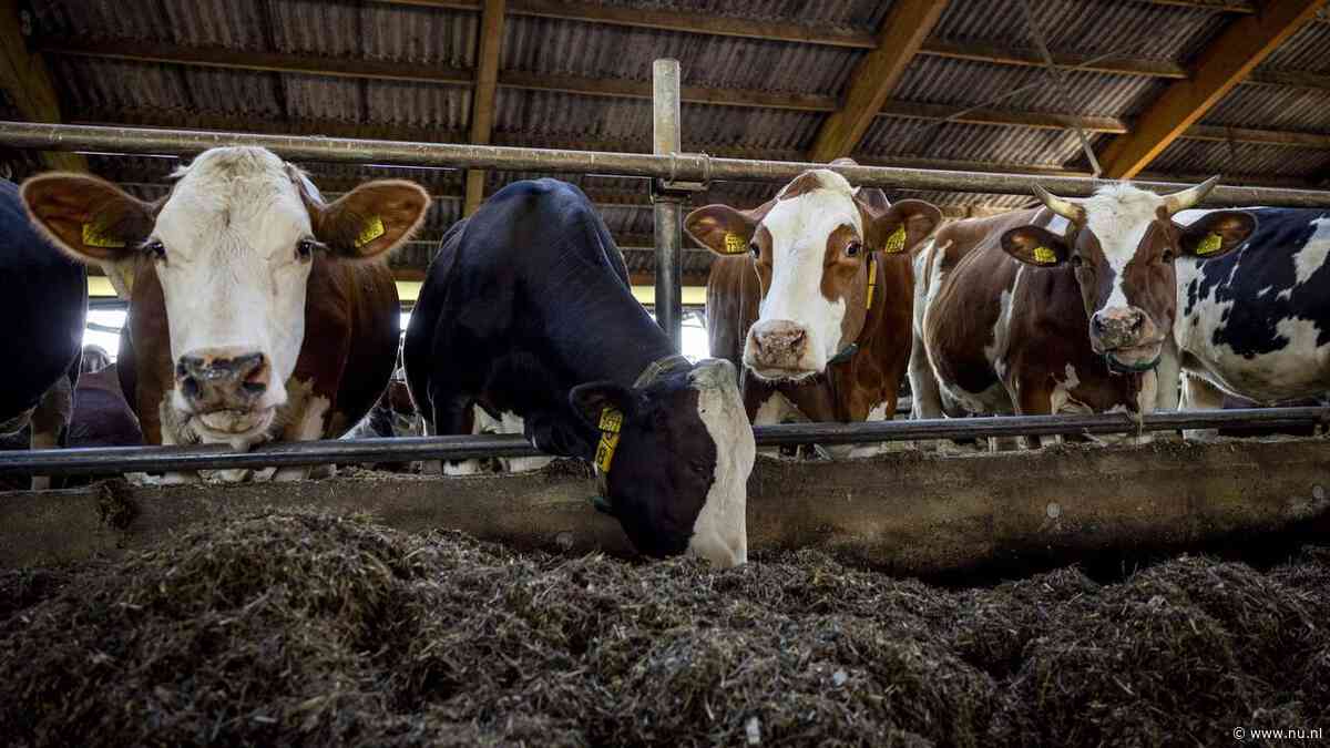 Nederland van het stikstofslot? Boeren, Kamer en rechter nog aan zet