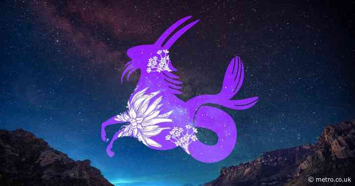 The Full Moon in Capricorn forces a reality check — your star sign’s tarot horoscope