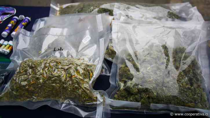 La ONU afirma que la legalización de la marihuana aumenta su consumo