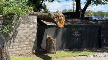 Family sues over fatal tree collapse at Austin BBQ restaurant