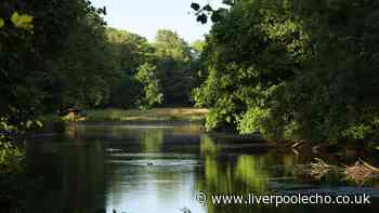 Unheralded city park that might just be the best in Liverpool