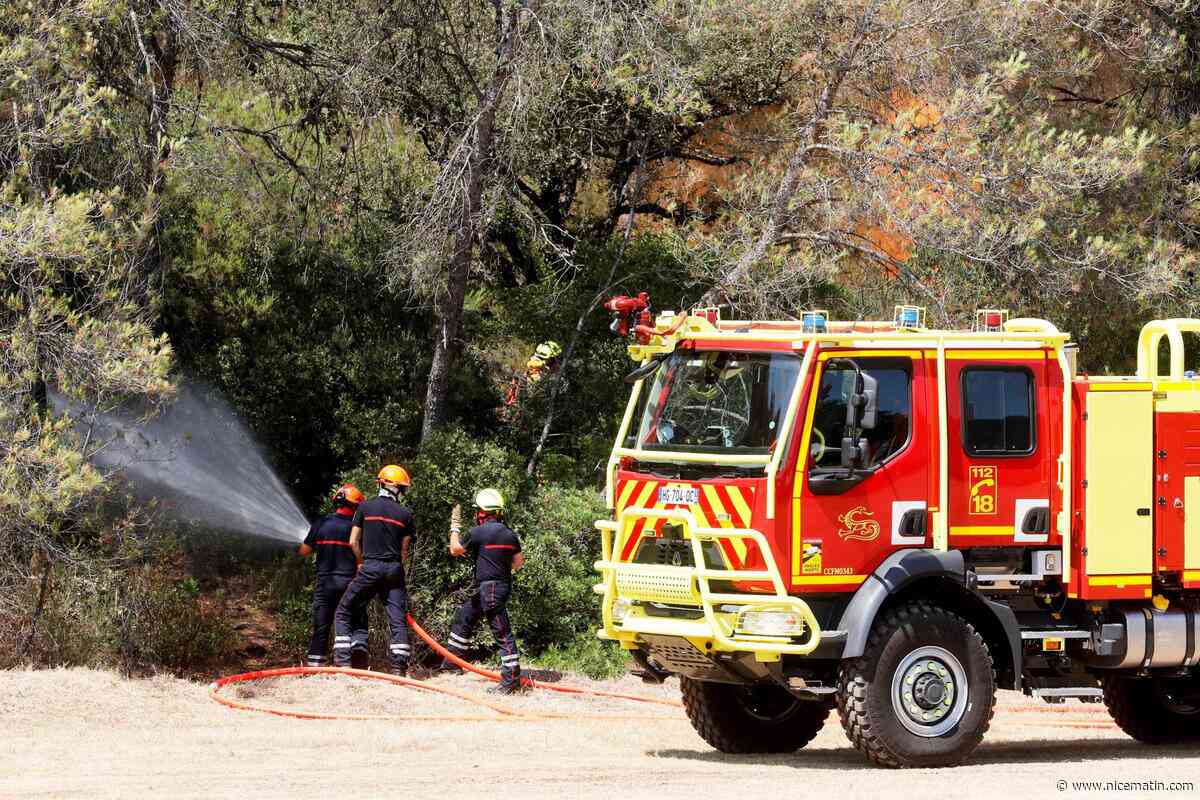 « On a trois semaines à un mois d’avance sur la sécheresse et la chaleur » : les pompiers varois redoutent une saison des feux comparable à 2003