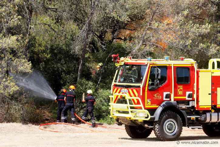 « On a trois semaines à un mois d’avance sur la sécheresse et la chaleur » : les pompiers varois redoutent une saison des feux comparable à 2003