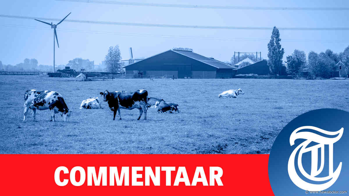 Nederland stemde rechts, maar lijkt links te krijgen met dit kabinet