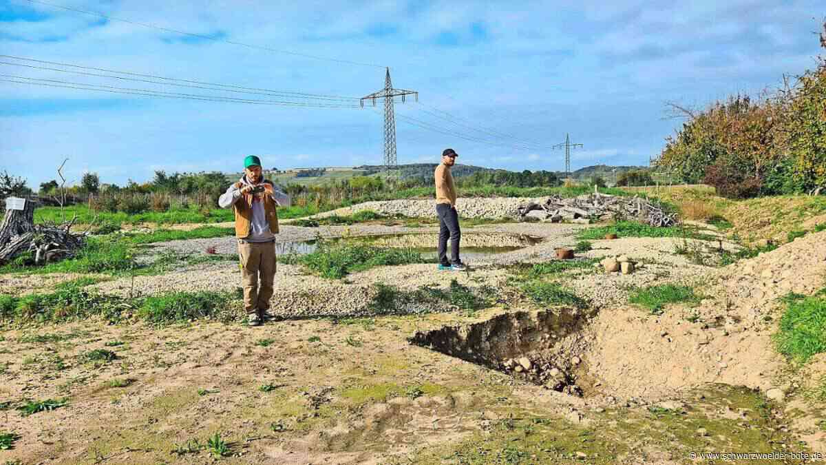 Artenschutz in Efringen-Kirchen: Das Paradies vor der Haustüre