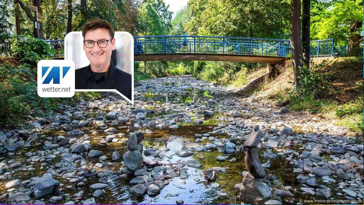 Hitze-Wetter beschleunigt gefährlichen Kreislauf – Jetzt spitzt sich Lage in Gewässern zu
