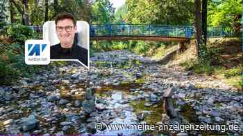 Hitze-Wetter beschleunigt gefährlichen Kreislauf – Jetzt spitzt sich Lage in Gewässern zu