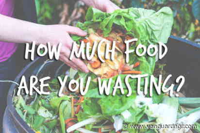 Nigeria loses N5trn to 40m tonnes of food waste yearly over logistics challenges