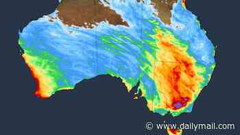 Australia to be smashed with heavy rainfall over the next week with temperatures set to plunge: here's the weather in your city