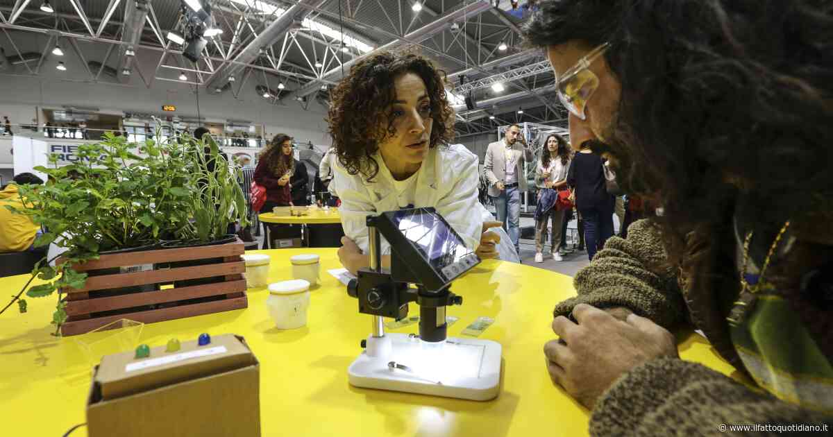 Un rapporto Ue certifica i passi avanti dell’Italia nella trasformazione digitale. Ma è davvero così?