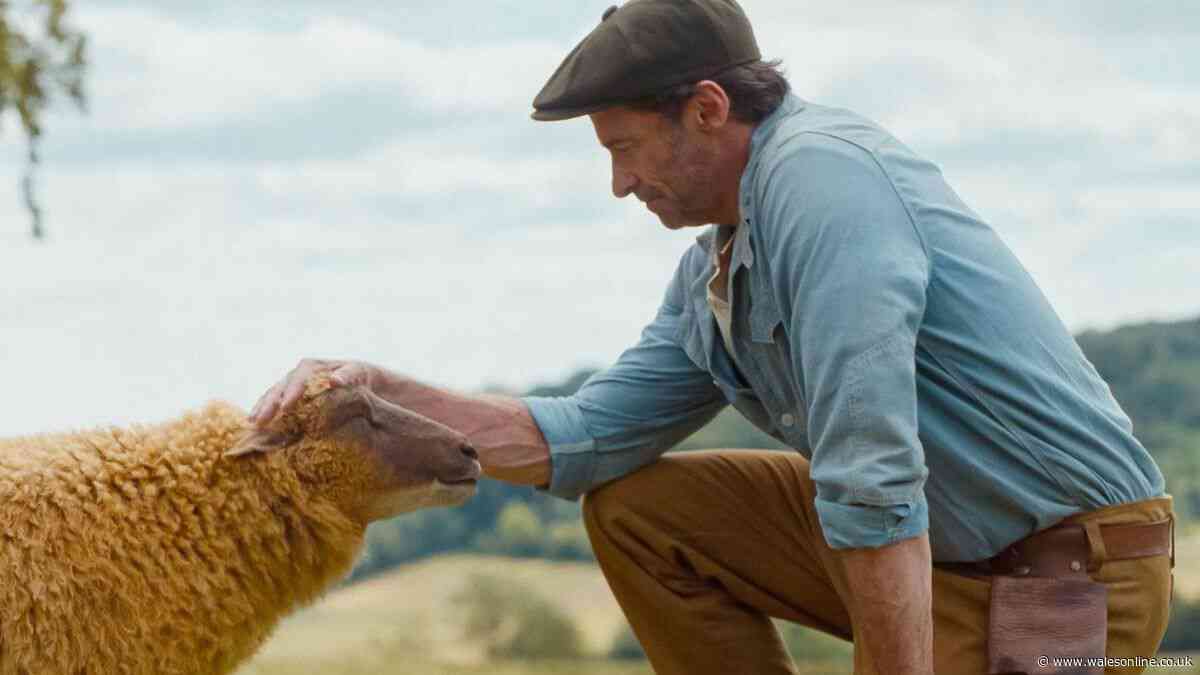 ‘Heartwarming’ movie hailed a ‘must watch’ is perfect for Clarkson’s Farm fans
