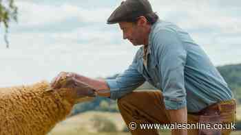 ‘Heartwarming’ movie hailed a ‘must watch’ is perfect for Clarkson’s Farm fans