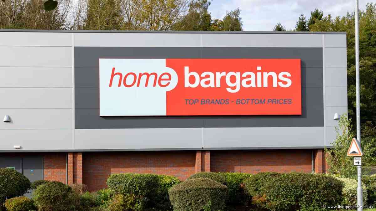 'Sleek' Home Bargains £10 cabin bag for easyJet, British Airways, Virgin Atlantic