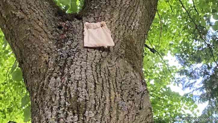 Robyn verbaasd over zakjes aan bomen, volgens Frans is dit alleen maar goed