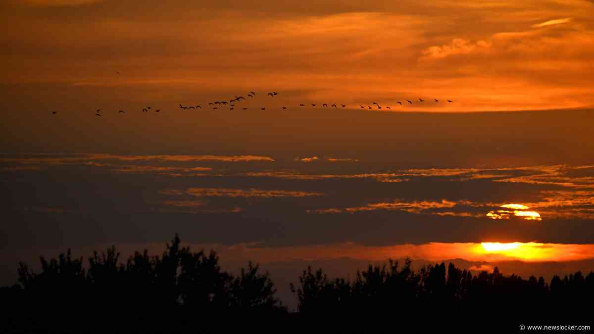 LIVE | Nieuw junirecord voor warmste nacht vastgesteld, kwik daalde nergens onder 22,9 graden