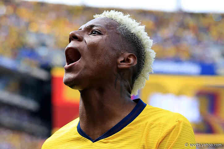 🎥 The dog that celebrated Ecuador's goal, Friday's best 🤣