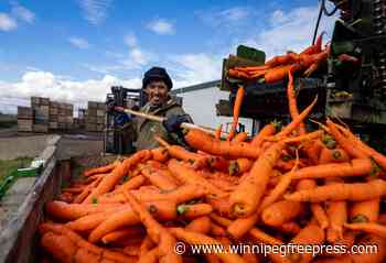 Farmers just one link in long supply chain