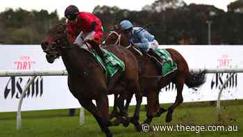 Irish jockey savours glory of breakthrough stakes race win at Rosehill