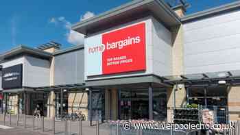 Make any garden look 'magical at night' this summer with Home Bargains £5 lights