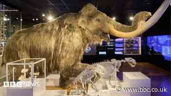 'True jewel' museum and gallery wins UK award