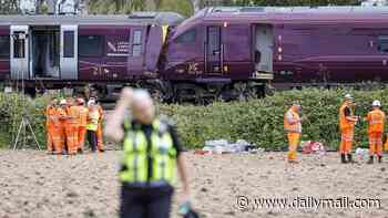 Revealed: Rail safety system forcing trains to a halt if they pass red light was NOT installed on Bedford crash track because route was 'low risk'