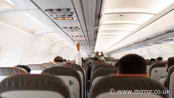 Best plane seat to avoid germs on Ryanair, easyJet, TUI - doctor's flight advice