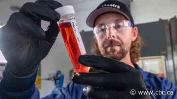 Refining cobalt in Cobalt, Ont.? That's the plan for this northern Ontario town