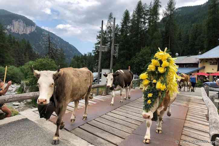 Concours de bûcheronnage, défilé des troupeaux... : cette commune près de Menton célèbre les savoir-faire de la montagne ce samedi