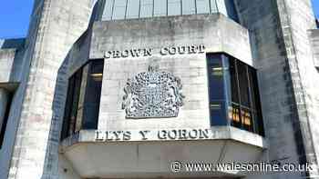 Former football hooligan left partner unconscious in violent attack