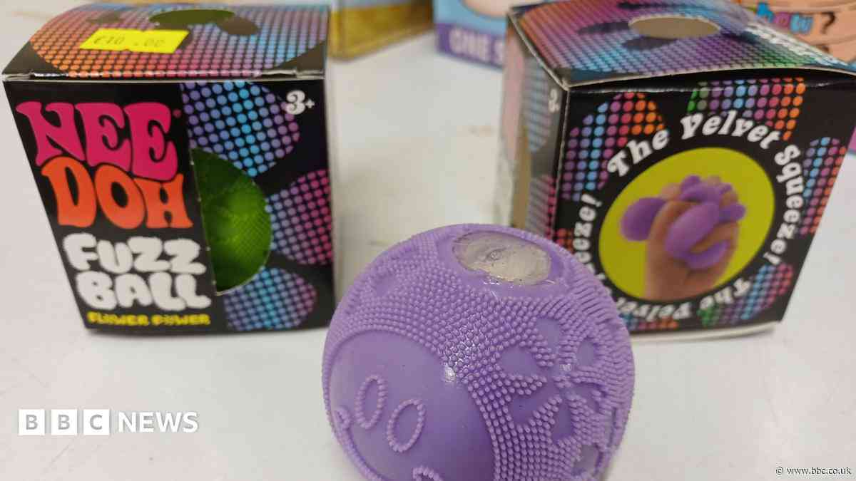 Burn warning over microwave squishy toy trend