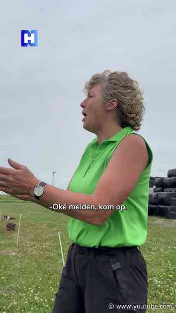 Viva Weilandia: deze schapen weten wie Tunesië - Nederland wint