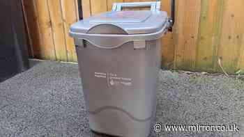 New bins arriving for homes in England and what can and can't go in them