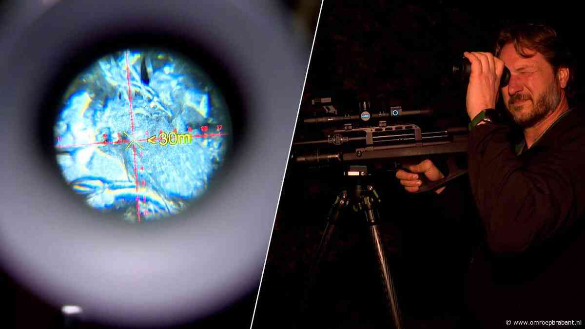 Poef! Arjen jaagt midden in de nacht op ratten: 'Anders komt er een plaag'