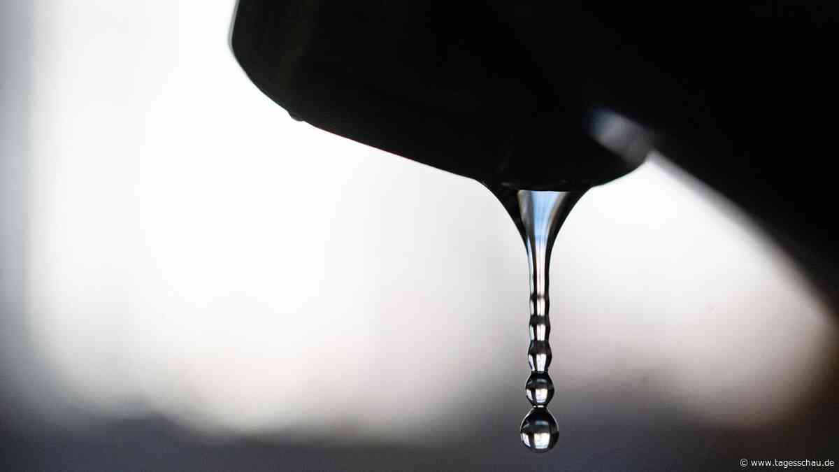 Hitze-Liveblog: ++ Kommunen rufen zum Wassersparen auf ++