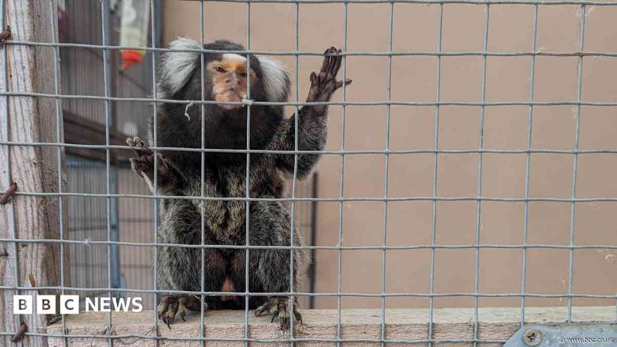Women fined after 58 animals found in filth
