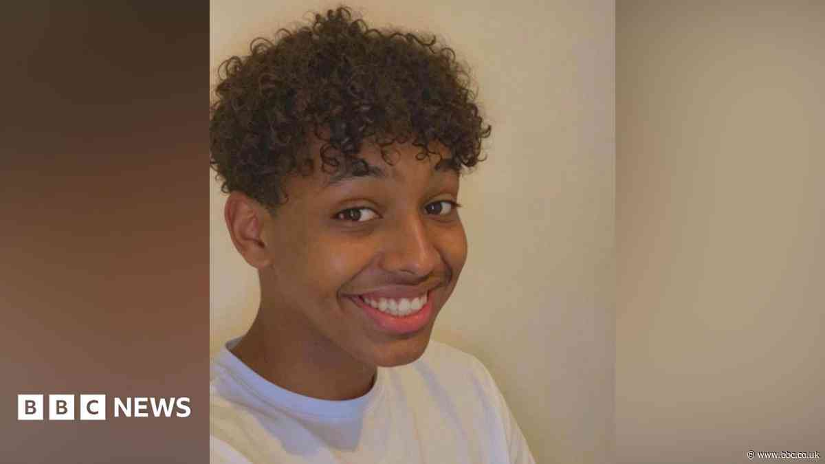 Public tried to save life of park stabbing victim