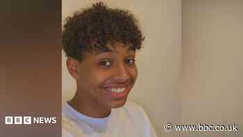 Public tried to save life of park stabbing victim