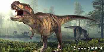 Nieuw onderzoek: Bleef T. rex heel lang hangen in de puberteit?