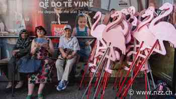 Die Flamingo-Rebellion in Albanien: «Die Proteste zeigen, wie rückständig Regierungschef Rama ist»