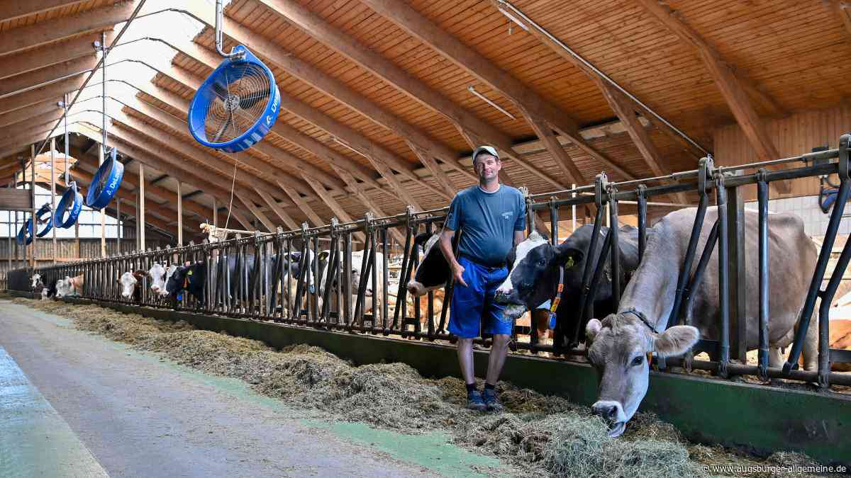 Hitze und Trockenheit in der Region Landsberg: „Die Lage könnte dramatisch werden“