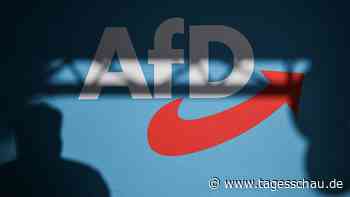 Interview: Wie der Projektleiter das AfD-Gutachten bewertet