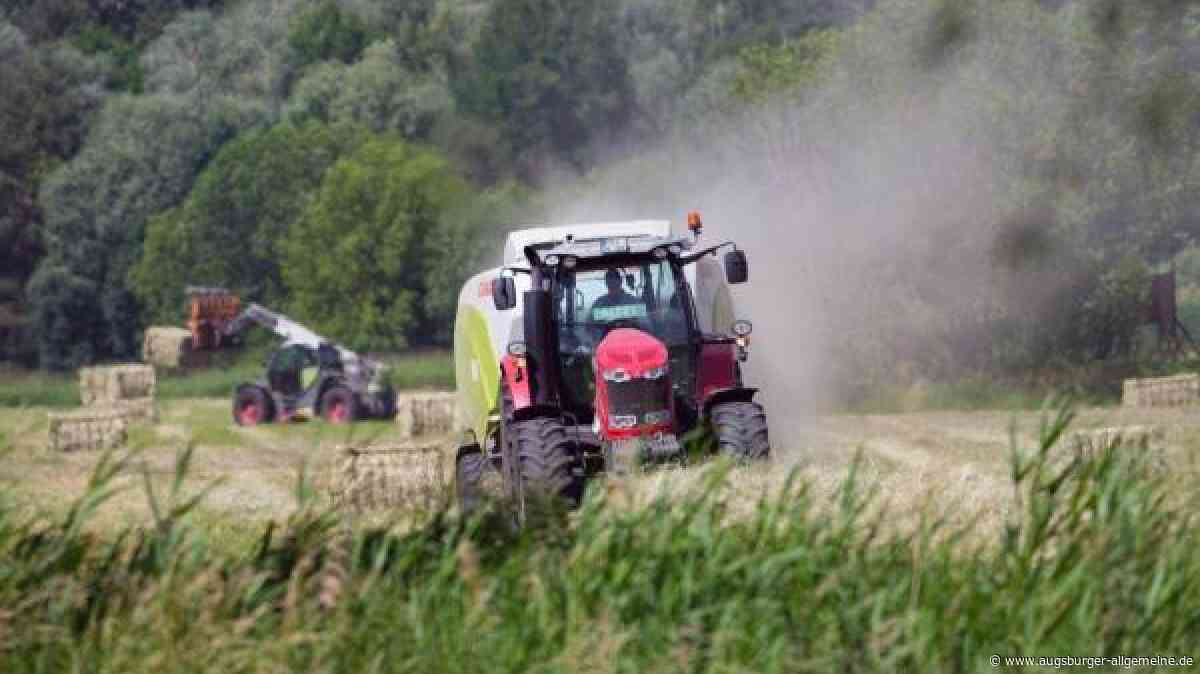 Flammen auf dem Feld: Feuerwehr verhindert Schlimmeres bei Langenmosen
