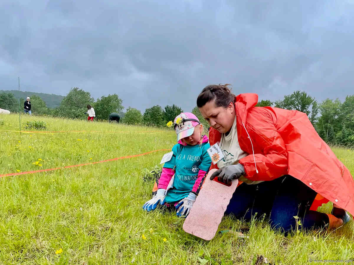 Volunteers plant a pollinator paradise in Adirondacks